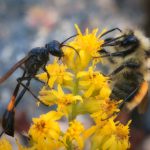 理想禁区免费观看动漫 2xd41g1bb