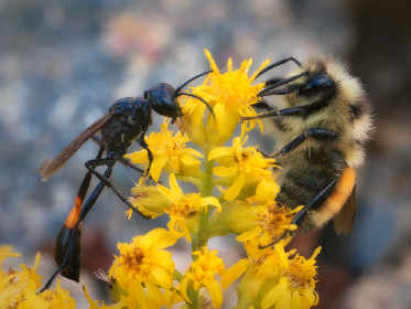 理想禁区免费观看动漫