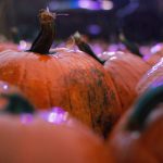 私密按摩师中文字幕在线 31ooh77e1