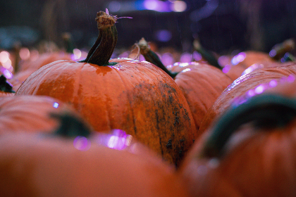 私密按摩师中文字幕在线