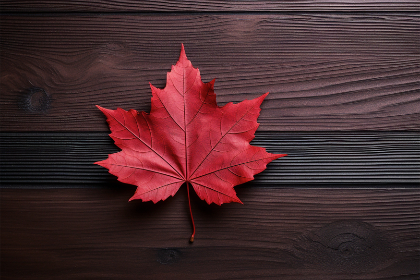 夜晚福利视频在线观看