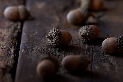 男女做暧暧18禁止试看