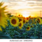 艳姆 在线观看 b7hk9bdm