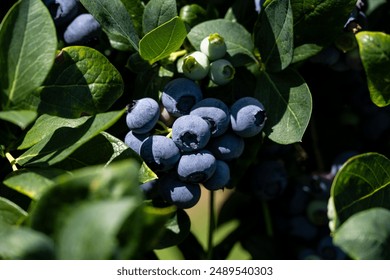 第一次俄罗斯破女初在线观看