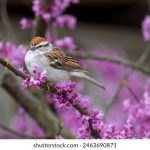 免费香蕉手机在线视频网 i7u5h