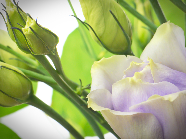 夜趣第一福利官方导航专业